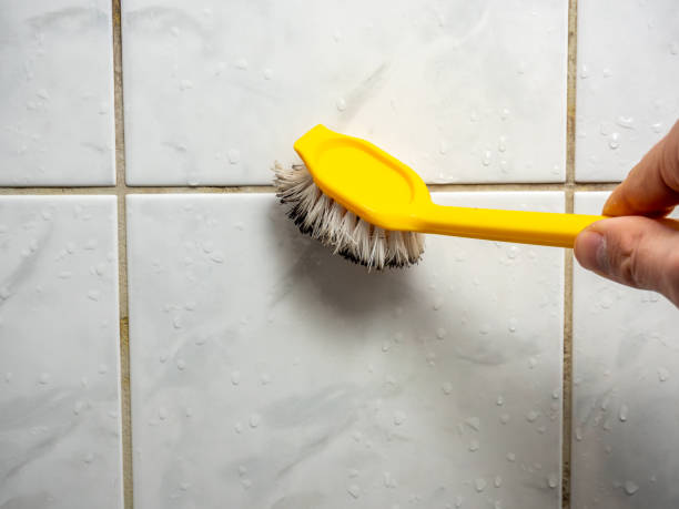 Best Mold Remediation for Schools in Delshire, OH